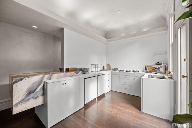 washroom with dark wood-type flooring, a sink, and recessed lighting