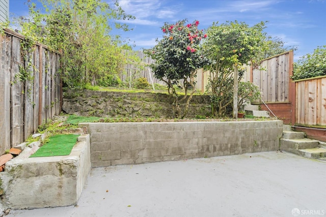 view of yard with a patio area