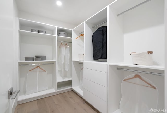 walk in closet with light wood-type flooring