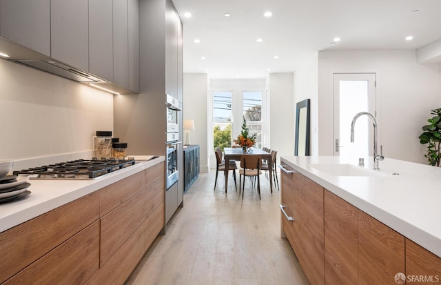 kitchen with sink, light hardwood / wood-style flooring, and appliances with stainless steel finishes