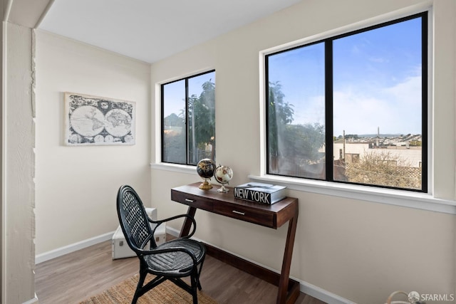 home office with hardwood / wood-style floors