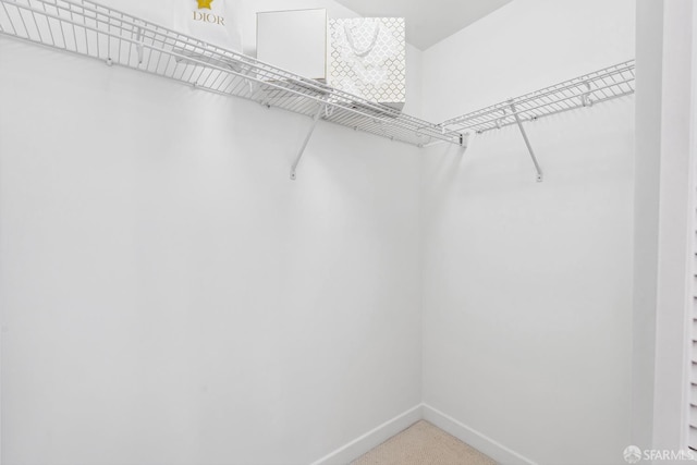 view of spacious closet