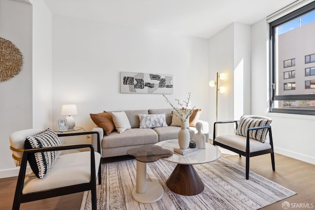 living room with wood-type flooring