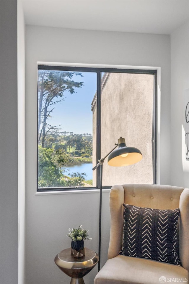 112 S Lake Merced Hls, San Francisco, CA 94132 - living area with plenty of natural light