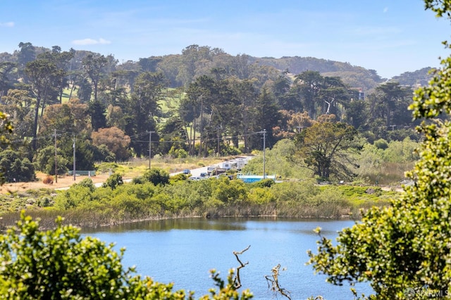 112 S Lake Merced Hls, San Francisco, CA 94132 - water view