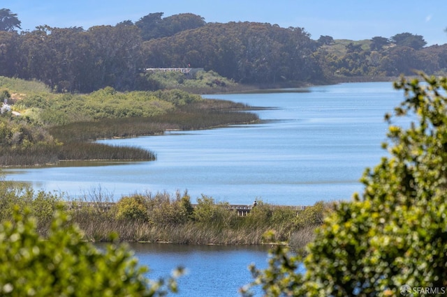 112 S Lake Merced Hls, San Francisco, CA 94132 - water view with a heavily wooded area