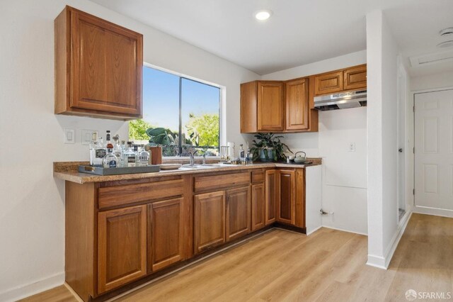 232 Talbert St, San Francisco, CA 94134 - kitchen with brown cabinetry, under cabinet range hood, light wood finished floors, a sink, and baseboards