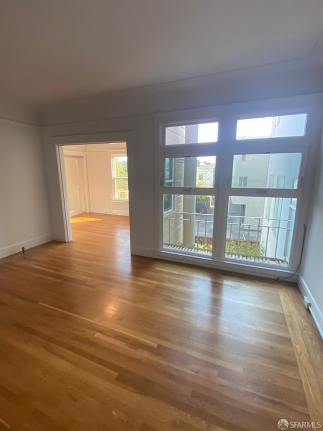 empty room with hardwood / wood-style floors