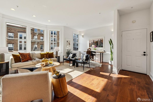 living room with dark hardwood / wood-style floors and a wealth of natural light