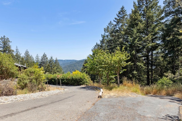 21540 Siri Rd, Guerneville, CA 95446 - photo 96