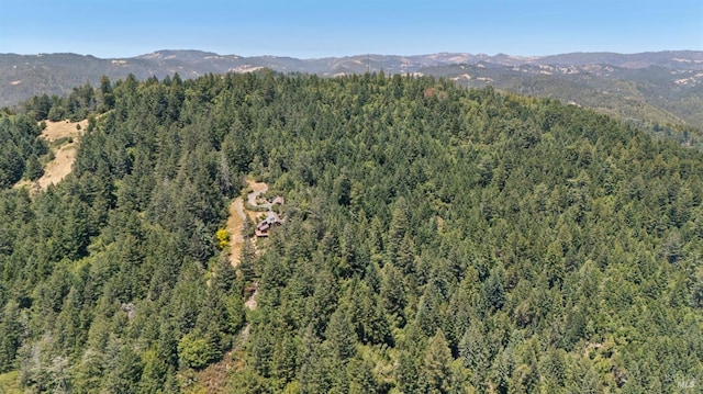 21540 Siri Rd, Guerneville, CA 95446 - photo 81