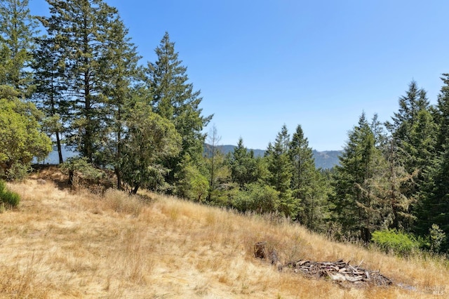 21540 Siri Rd, Guerneville, CA 95446 - photo 59
