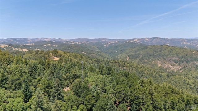 21540 Siri Rd, Guerneville, CA 95446 - photo 74