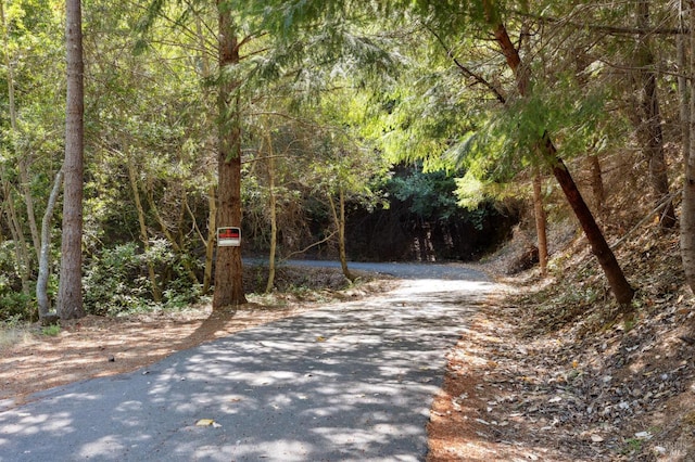 21540 Siri Rd, Guerneville, CA 95446 - photo 95