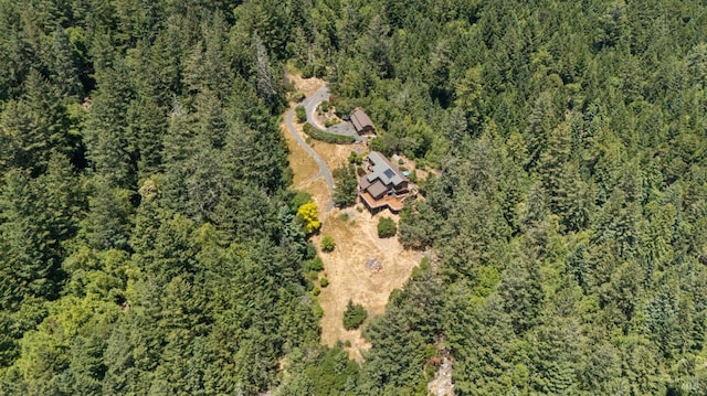 21540 Siri Rd, Guerneville, CA 95446 - photo 78