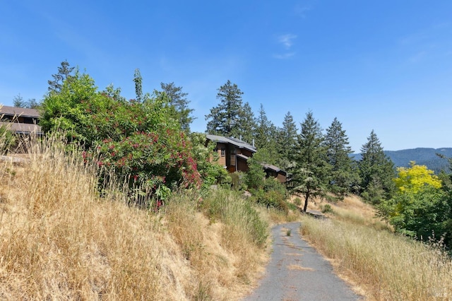 21540 Siri Rd, Guerneville, CA 95446 - photo 99