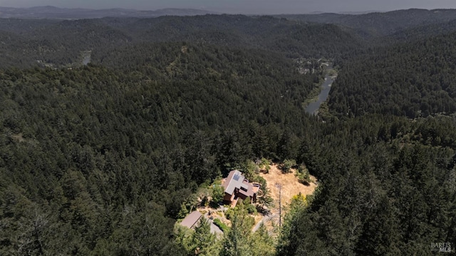21540 Siri Rd, Guerneville, CA 95446 - photo 92