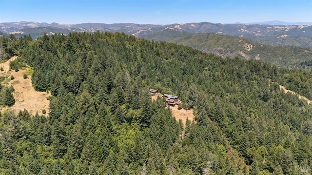 21540 Siri Rd, Guerneville, CA 95446 - photo 79
