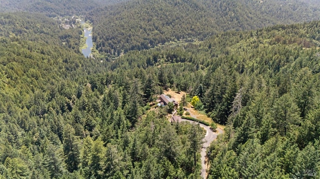 21540 Siri Rd, Guerneville, CA 95446 - photo 76