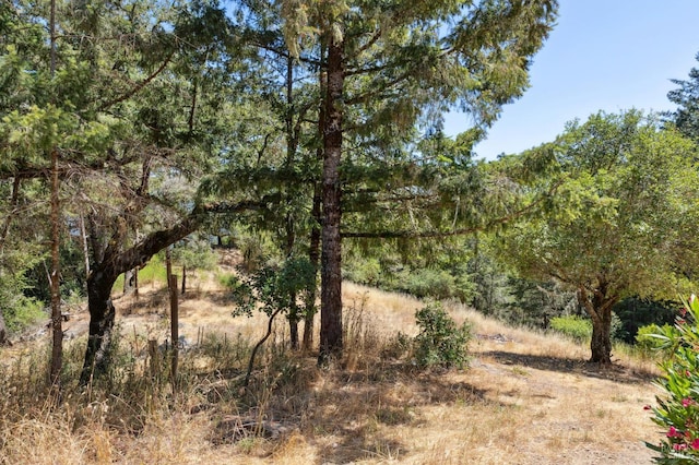 21540 Siri Rd, Guerneville, CA 95446 - photo 58