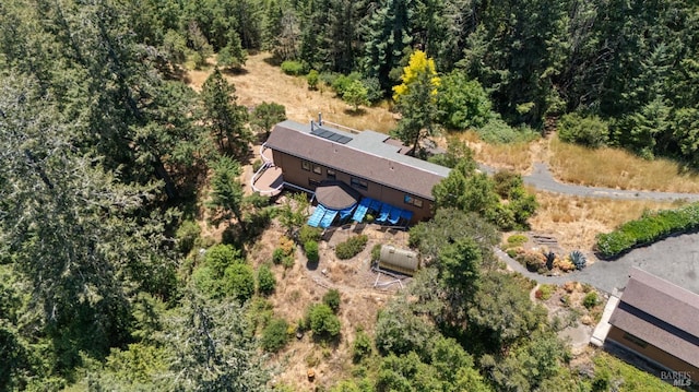 21540 Siri Rd, Guerneville, CA 95446 - photo 87