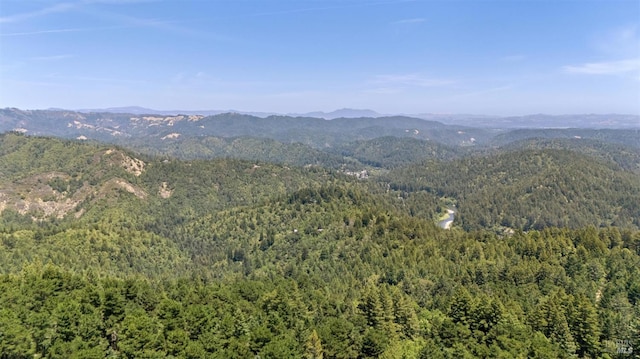 21540 Siri Rd, Guerneville, CA 95446 - photo 73