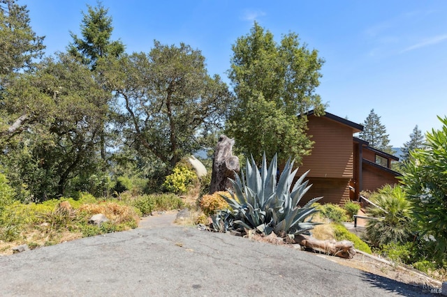21540 Siri Rd, Guerneville, CA 95446 - photo 98