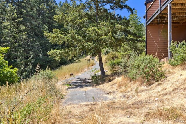 21540 Siri Rd, Guerneville, CA 95446 - photo 64