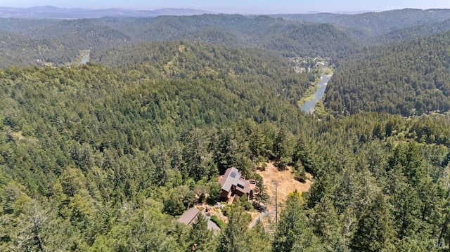 21540 Siri Rd, Guerneville, CA 95446 - photo 93