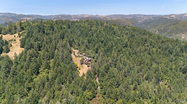 21540 Siri Rd, Guerneville, CA 95446 - photo 80