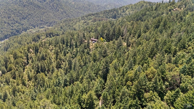 21540 Siri Rd, Guerneville, CA 95446 - photo 75