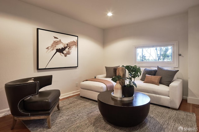 living area featuring hardwood / wood-style floors