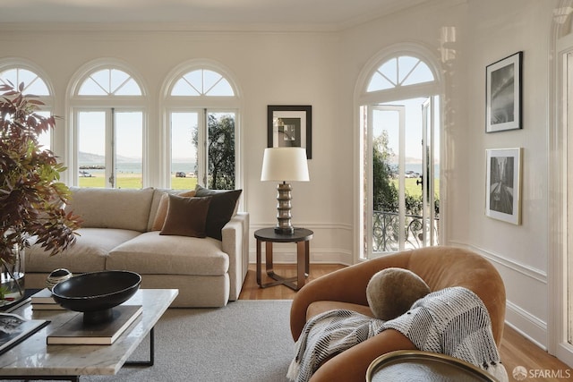 sitting room featuring crown molding, light hardwood / wood-style floors, and a mountain view