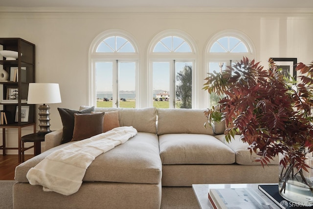 living room with wood-type flooring, ornamental molding, and a healthy amount of sunlight