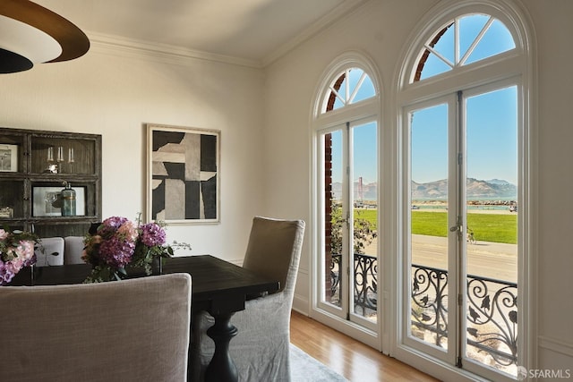 dining room featuring light hardwood / wood-style flooring, a mountain view, and crown molding