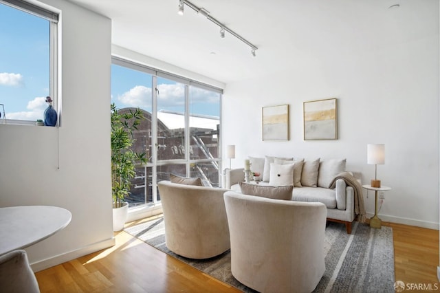 living room with hardwood / wood-style floors and track lighting