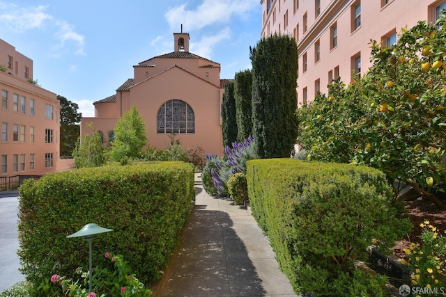 355 Buena Vista E Avenue 605W, San Francisco, CA 94117 - view of surrounding community