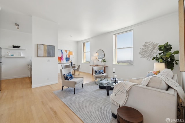 355 Buena Vista E Avenue 605W, San Francisco, CA 94117 - living area featuring baseboards and light wood finished floors