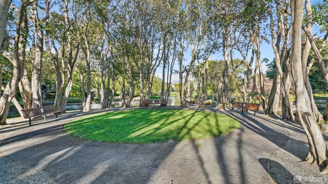 816 N Delaware St Unit 409, San Mateo, CA 94401 - surrounding community featuring a lawn and view of scattered trees