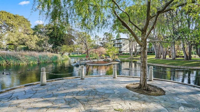 816 N Delaware St Unit 409, San Mateo, CA 94401 - view of home's community with a water view