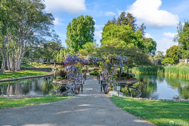 816 N Delaware St Unit 409, San Mateo, CA 94401 - surrounding community featuring a water view