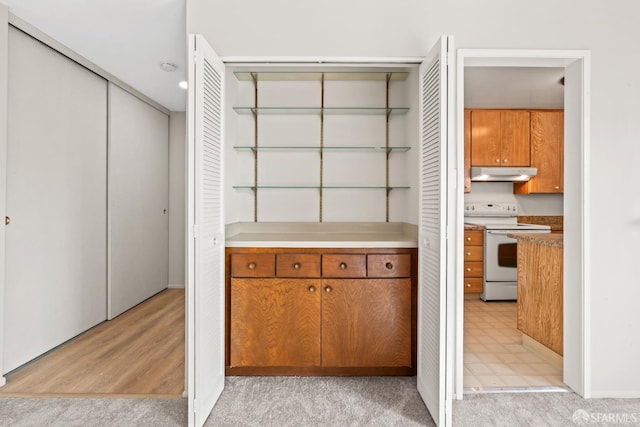 816 N Delaware St Unit 409, San Mateo, CA 94401 - view of closet