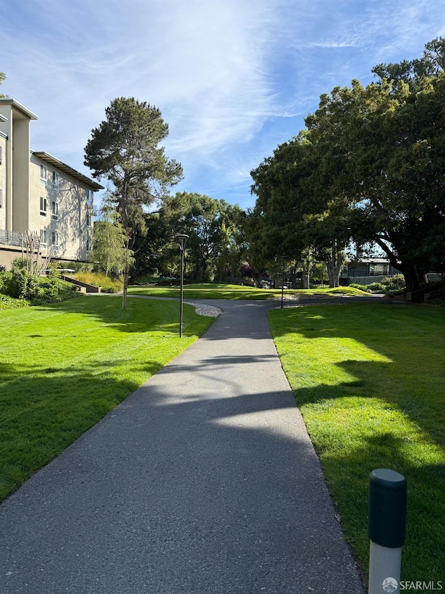816 N Delaware St Unit 409, San Mateo, CA 94401 - view of property's community featuring a lawn
