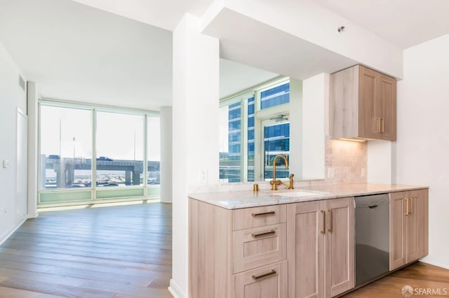 kitchen featuring tasteful backsplash, light wood-style flooring, expansive windows, stainless steel dishwasher, and a sink