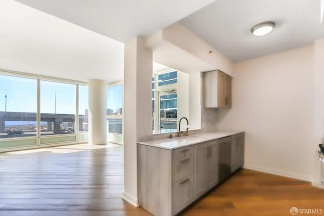 kitchen featuring a sink, gray cabinetry, and wood finished floors