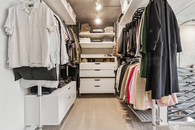 spacious closet featuring light carpet