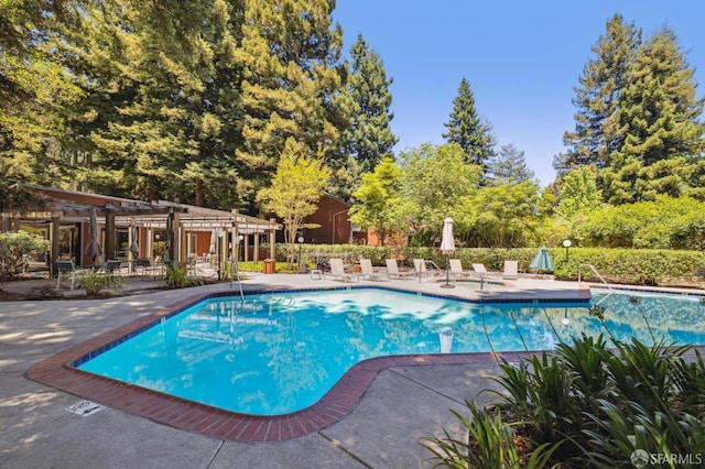 229 Cypress Point Dr, Mountain View, CA 94043 - community pool with a pergola and a patio