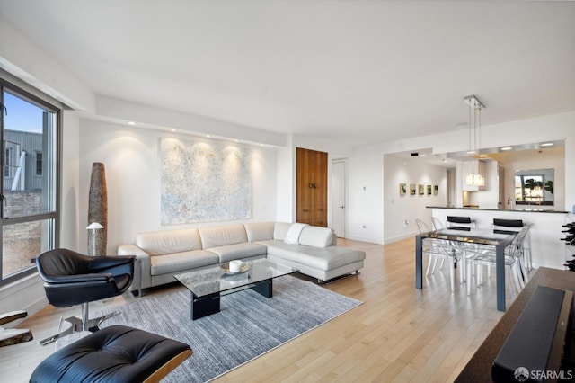 living room with light hardwood / wood-style flooring and a healthy amount of sunlight