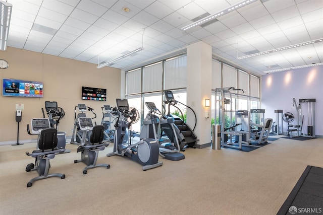 gym with carpet flooring and a high ceiling