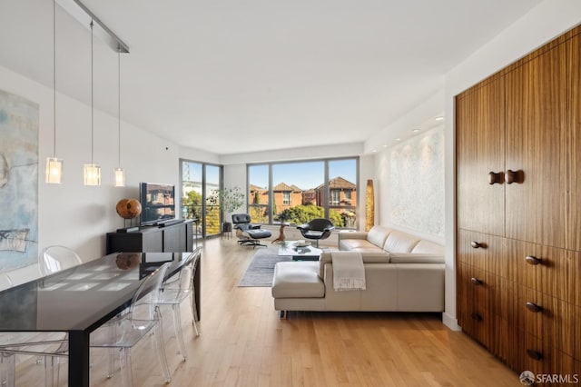 living room featuring light wood-type flooring